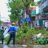Compostage industriel des déchets verts : une diversification pour les agriculteurs