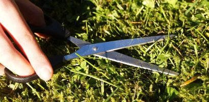 découvrez nos conseils et astuces pour une tonte de pelouse efficace. apprenez comment entretenir votre gazon, choisir la meilleure tondeuse et obtenir un résultat impeccable toute l'année.