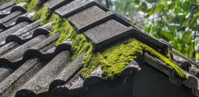 service professionnel d'élimination de la mousse sur toiture pour protéger et prolonger la durée de vie de votre toit. entretien rapide et efficace.