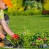 7 étapes simples pour créer le jardin de vos rêves