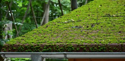 élimination professionnelle de la mousse sur toiture pour préserver l'intégrité et l'esthétique de votre toit. service rapide et efficace.