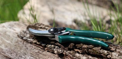 services d'élagage d'arbres sécurisés près des lignes électriques pour prévenir les risques et assurer la sécurité.