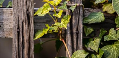 découvrez tout ce qu'il faut savoir sur les clôtures empiétantes : droits, responsabilités et solutions pour gérer les conflits de voisinage liés aux limites de terrain.