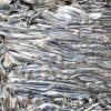 Recyclage de l’aluminium : une économie d’énergie de 95% face à l’extraction