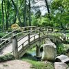Poser des pas japonais dans la pelouse sans gêner la tonte
