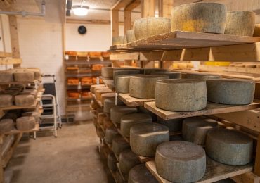 Remplacer les œufs et le lait : cuisiner sans allergènes majeurs