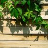 Claustra de jardin : comment bien fixer les poteaux au sol?