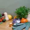 Bio et traçabilité : garantir l&rsquo;absence de pesticides